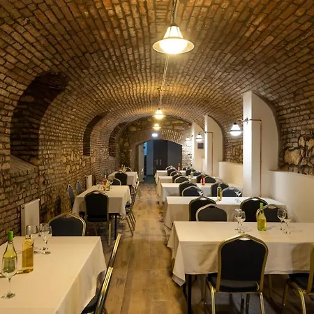 Hotel Fibula & Wellness - Adults Only 4*